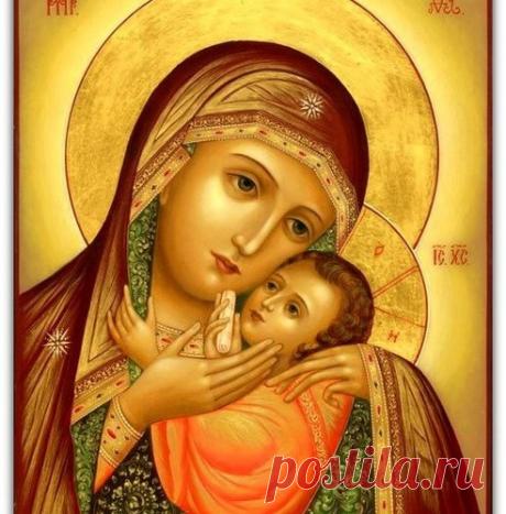 ЛЕКАРСТВО БОГОРОДИЦЫ