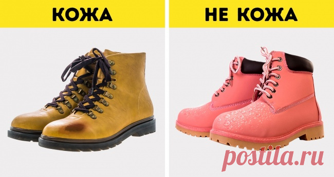 10 разновидностей натуральной кожи и как быстро отличить ее от кожзама
