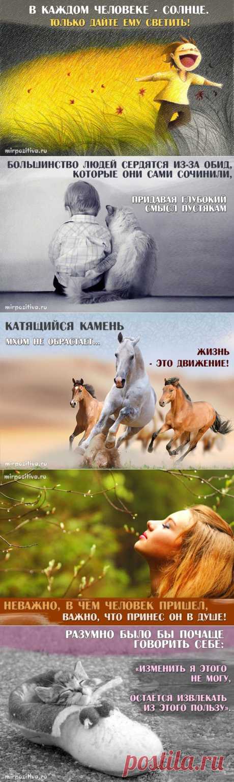 Мудрость в каждой фразе