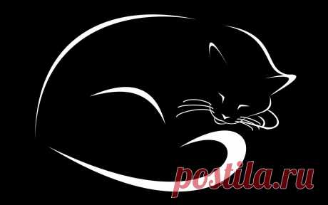рисунки и картинки кошек и котят - 1 млн картинок. Поиск Mail.Ru