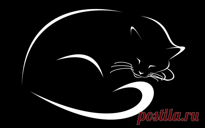 рисунки и картинки кошек и котят - 1 млн картинок. Поиск Mail.Ru