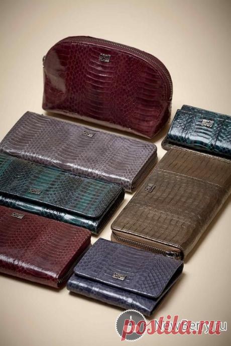 Аксессуары Class Roberto Cavalli осень-зима 2015-2016