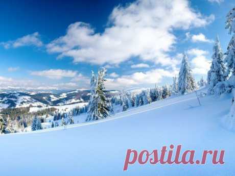 Приметы на 16 февраля, день Симеона Богоприимца и Анны-пророчицы - Народные приметы