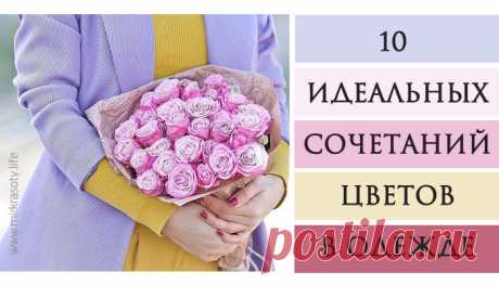 10 самых красивых сочетаний цветов в одежде Правильное сочетание цветов в одежде, обуви, аксессуарах — на 90% залог удачного образа. К сожалению, не у всех получается грамотно сочетать цвета. Не совпадает тон, какой-то цвет перебивает весь образ, или наоборот, всё смотрится слишком блекло. Смотришь на такое — и появляется ощущение дисгармонии, неправильности. Описать это чувство словами сложно, потому что оно не столько зависит от знаний моды, сколько связано с физическими...