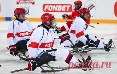Свыше 140 спортсменов выступят на Кубке континента по следж-хоккею в Югре. Планируется участие двух команд России - основного и резервного составов, сборных Китая и Казахстана