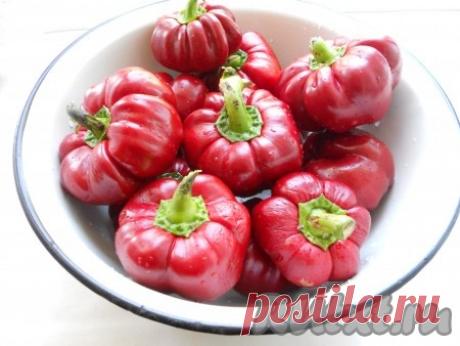 Острый перец с медом на зиму - рецепт с фото