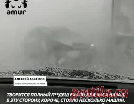 Десятки застрявших на российской трассе в метель разбитых машин сняли на видео. На Трассе Хабаровск — Комсомольск-на-Амуре десятки машин попали в ДТП во время метели. Инцидент сняли на видео. Автор ролика рассказывает, что из-за непогоды видимость на дороге нулевая, на трассе находятся десятки разбитых и перевернутых машин. В ГУ МЧС по региону заявили, что трасса закрыта для транспорта.
