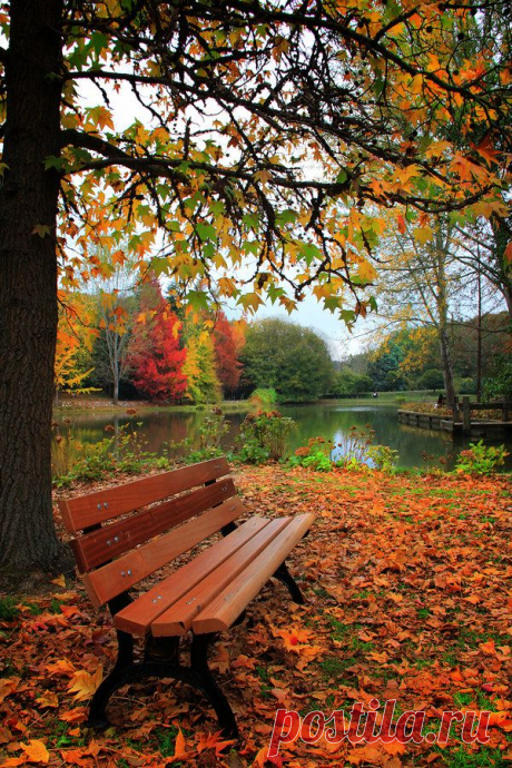 EMPTY BENCH by MustafaSEZER on DeviantArt