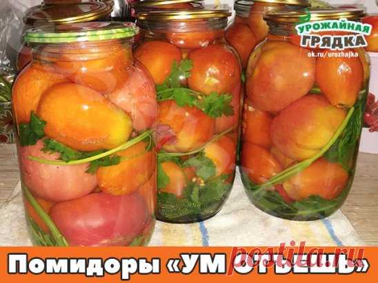 Помидоры «УМ ОТЪЕШЬ» вкуснейший рецепт! 
Способ приготовления: 
У помидоров вырезаем плодонжку и вставляем по зубчику чеснока. Укладываем их в банку, прослаивая веточками сельдерея, петрушки, дольками болгарского перца. 
Добавляем 0,5 среднего стручка горького перца и заливаем кипятком на 20 минут. Воду сливаем, добавляем на 1 литр — 1 ст. л с горкой соли и 4 ст.л с горкой сахара, 50 мл. 9 % уксуса доводим до кипения, заливаем банки и закручиваем. Специи не добавляем вообще!