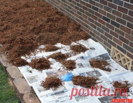 Как избавиться от сорняков на грядке или клумбе?