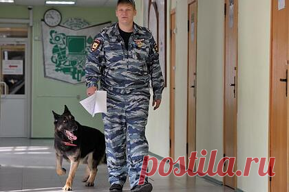 Ученики еще одной российской школы получили сообщения о готовящейся атаке. Ученики еще одной российской школы получили сообщения о готовящейся атаке по пермскому сценарию. Речь идет о школе в поселке Станционно-Ояшинский Новосибирской области. Вечером 23 сентября ученики сельской школы получили сообщения с угрозами от анонима. Ранее о подобных угрозах сообщалось в Балашихе.