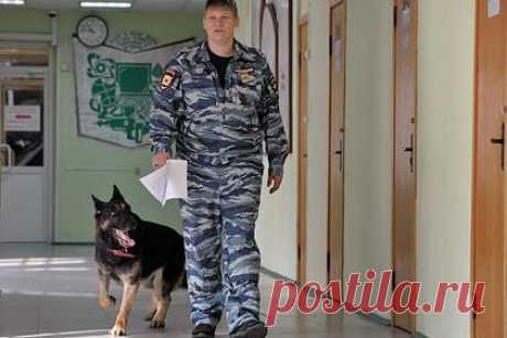 Ученики еще одной российской школы получили сообщения о готовящейся атаке. Ученики еще одной российской школы получили сообщения о готовящейся атаке по пермскому сценарию. Речь идет о школе в поселке Станционно-Ояшинский Новосибирской области. Вечером 23 сентября ученики сельской школы получили сообщения с угрозами от анонима. Ранее о подобных угрозах сообщалось в Балашихе.