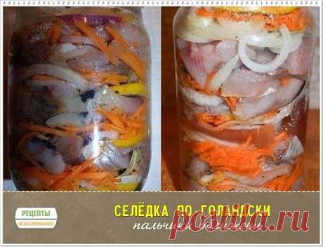 Селёдка по-голландски
Такие банки опустошаются за раз! Эта рыбка со стола сметается в первую очередь. Советую очень!
Возьмите на вооружение рецепт СЕЛЕДКИ ПО-ГОЛЛАНДСКИ. 
Продукты:
Сельдь свежемороженная - 2 шт.,
Лук - 2 шт.,
Лимон - 0,5 шт.,
Сахар - около 3 ч.л.,
Соль - 4 ч.л.,
Морковь - 1 шт.,
Лавровый лист - 10-12 шт.,
Чёрный перец - 8-10 горошин (крупно-молотых)
Выход: две 0,5 л банки (4-6 порций)
Приготовление:
Лимон нарезаем тонкими кружочками.
Морковь трем на крупно...