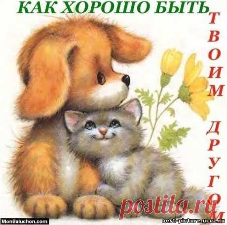 Плейкаст «Для самых дорогих моему сердечку друзей ! Так здорово, что где - то там есть вы !!»