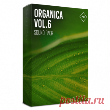 DownloadProduction Music Live Organica Vol.6 Full Production Suite Basic Edition [WAV, MiDi, Synth Presets] - DJ SOFT/ Samples, DJ Tools/Dj Soft - MusicVibez DownloadProduction Music Live Organica Vol.6 Full Production Suite Basic Edition [WAV, MiDi, Synth Presets] в FLAC/320kbps на MusicVibez — DJ SOFT/ Samples, DJ Tools/Dj Soft Release: Tracklist, Label download . - Musicvibez