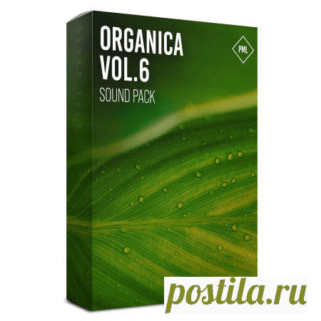 Production Music Live Organica Vol.6 Full Production Suite Basic Edition [WAV, MiDi, Synth Presets] free download mp3 music 320kbps