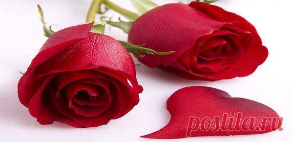 wasfee: В жизни я слышал многое — клятвы, обещания, комплименты, но лучшее, что я слышал — тишина. В ней нет лжи.