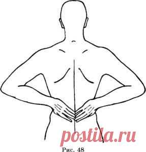 Как оздоровить почки?