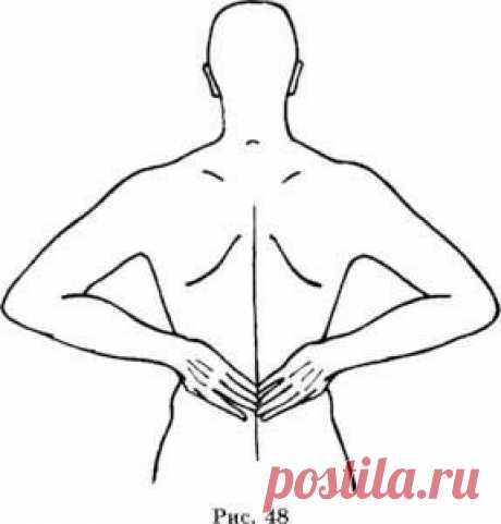 Как оздоровить почки?