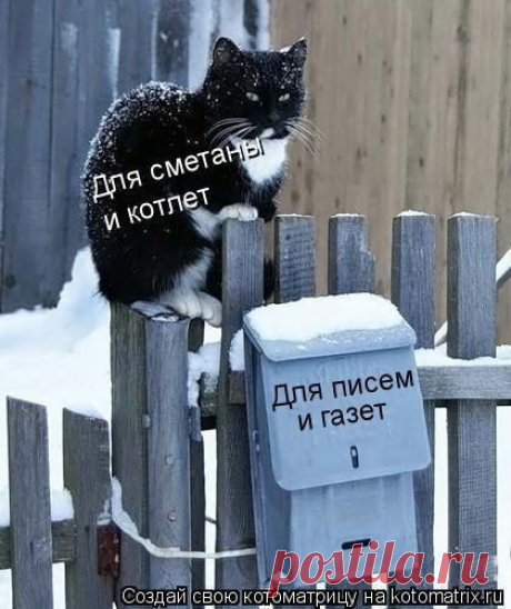 Мой Мир@Mail.Ru
