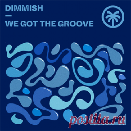 DIMMISH - We Got The Groove | 4DJsonline.com