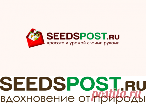 Заказ