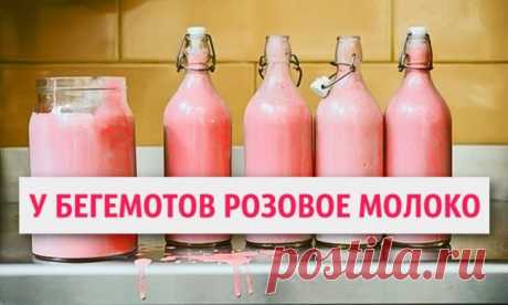 Факты, которые звучат как ложь, но это правда