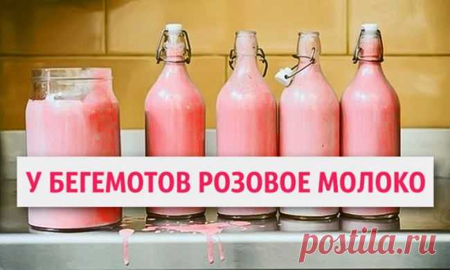 Факты, которые звучат как ложь, но это правда