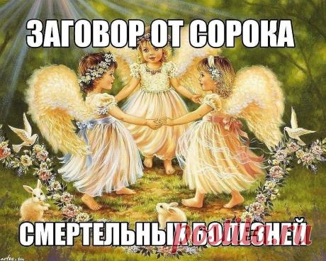 (57) Одноклассники