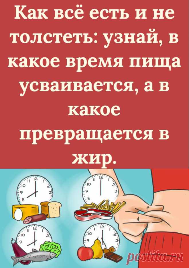 Как всё есть и не толстеть: узнай, в какое время пища усваивается, а в какое превращается в жир.