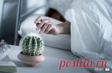 Дисания — это состояние, при котором тяжело с утра встать с постели... 25 слов, которыми можно блеснуть в разговоре