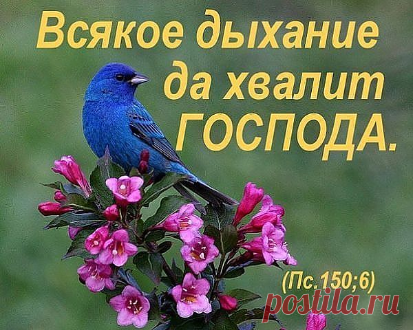 Всё от Господа,всё от НЕГО и в НЁМ, и для НЕГО..