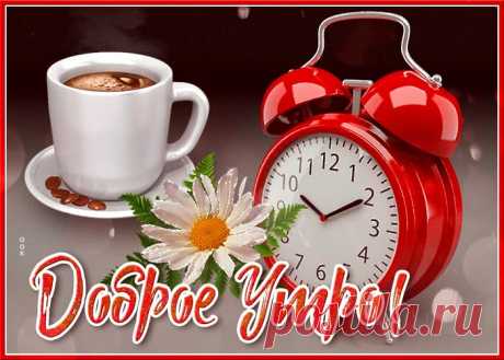 Доброго утра, бодрого дня! Хорошего настроения!