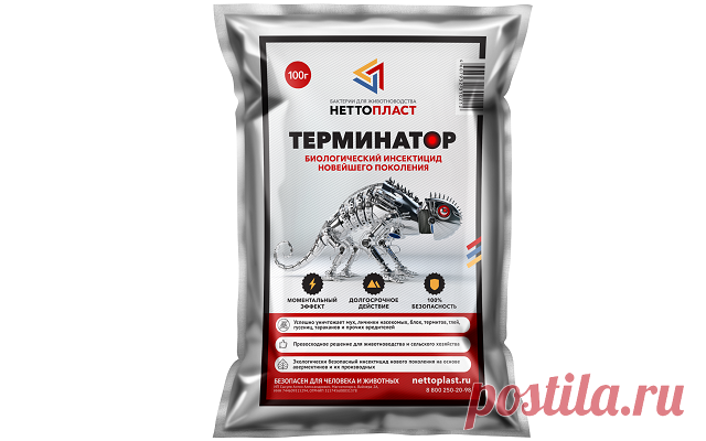 Секреты содержания кур несушек | Курочка | Пульс Mail.ru