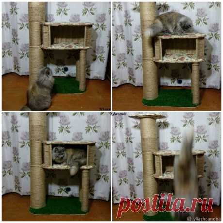 Домик для кошки