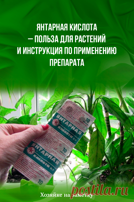Янтарная кислота – польза для растений и инструкция по применению препарата