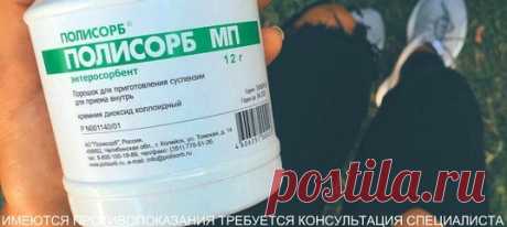 Знаешь на что он способен? 
Многие знают Полисорб как лекарство от отравления, но, на самом деле, Полисорб - очень универсальный препарат (в первую очередь благодаря своим способностям собирать на себя вредные вещества любой природы внутри кишечника). О том, для чего еще можно применить препарат, и как это улучшит нашу жизнь, читайте на сайте: 
https://www.polisorb.com/ru/articles/novye-vozmozhnost..
