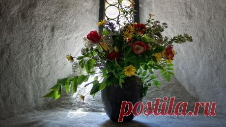 spring-flowers-wallpaper-1366x768.jpg (1366×768)