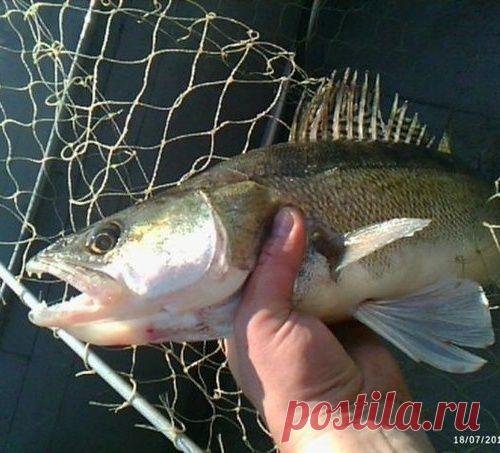 Зачем спиннингисту булавка