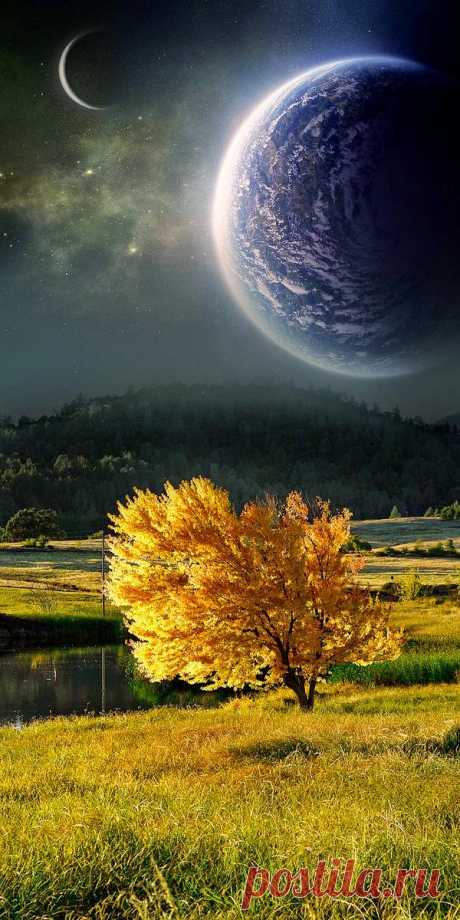 the wolf within : Photo