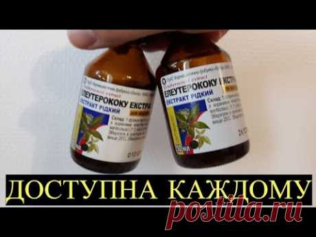 Эта Копеечная настойка из Аптеки поднимет Иммунитет, улучшит Зрение и увеличит Работоспособность! - YouTube