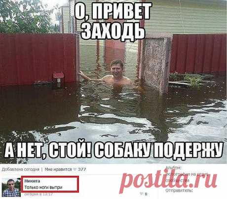 Пришел к куму...