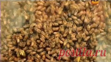 Рак излечим