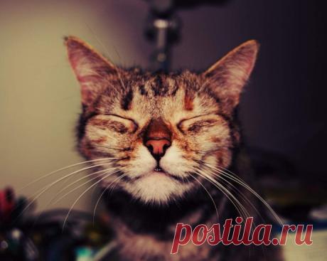 Остановись, мгновенье!