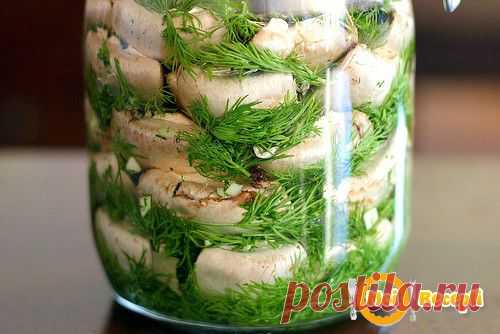 Чудесная закуска - малосольные шампиньоны.