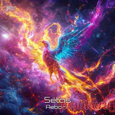 Setos - Reborn