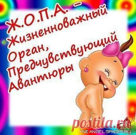 Мои Открытки | 1 114 фотографий