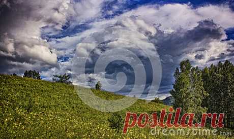 Stock Photos, Royalty-Free Images & Video Footage By Dreamstime Stock Photography