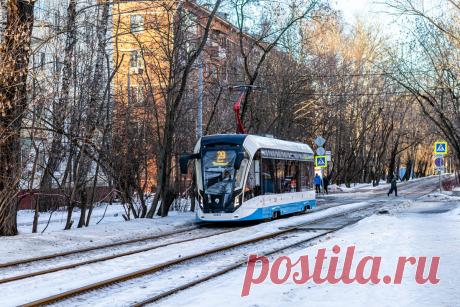 Яндекс Картинки: поиск похожих изображений