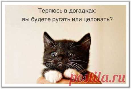 Интересные новости